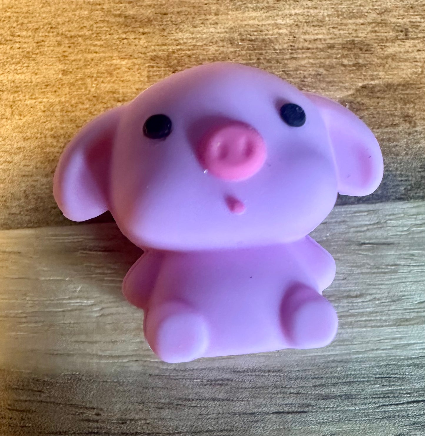 pig focal bead 3d